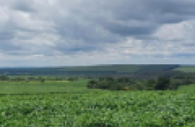 Fazenda para venda em BAURU